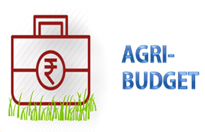 Agri Budget